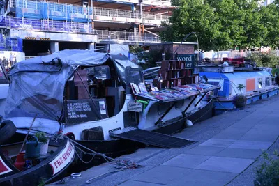 DSC_1731 (Large).JPG